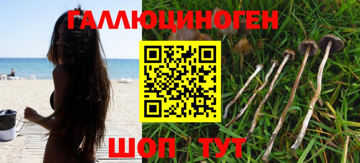 Нижнеудинск  Псилоцибиновые грибы ЛСД  Вход с VPN  Галлюциногенные грибы Psilocybe 